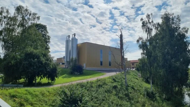 20230815 104649 768x432 1 jpg